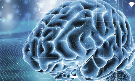 exebrain app