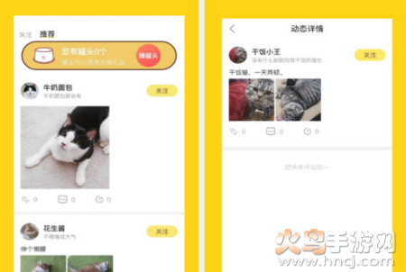 宠萌小窝app