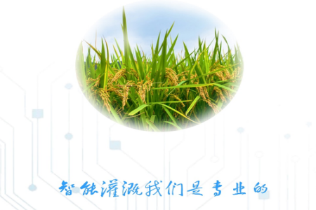 云水app
