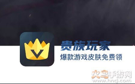 贵族玩家app