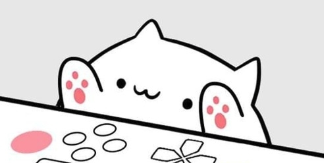 Bongo Cat Musical Instruments app