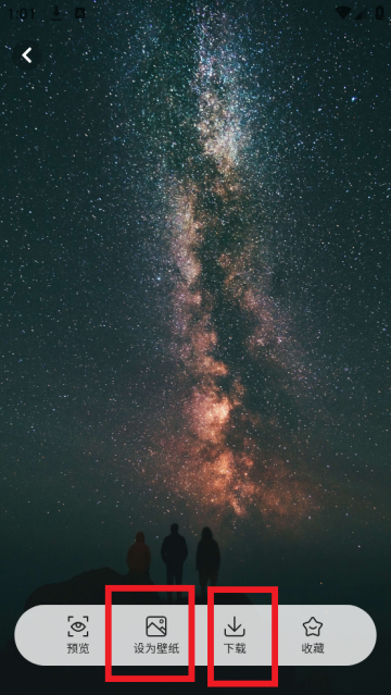 态壁纸app