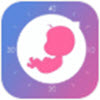 元墨孕育app v0.3.2安卓版