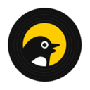 鹊起app v1.0.3安卓版