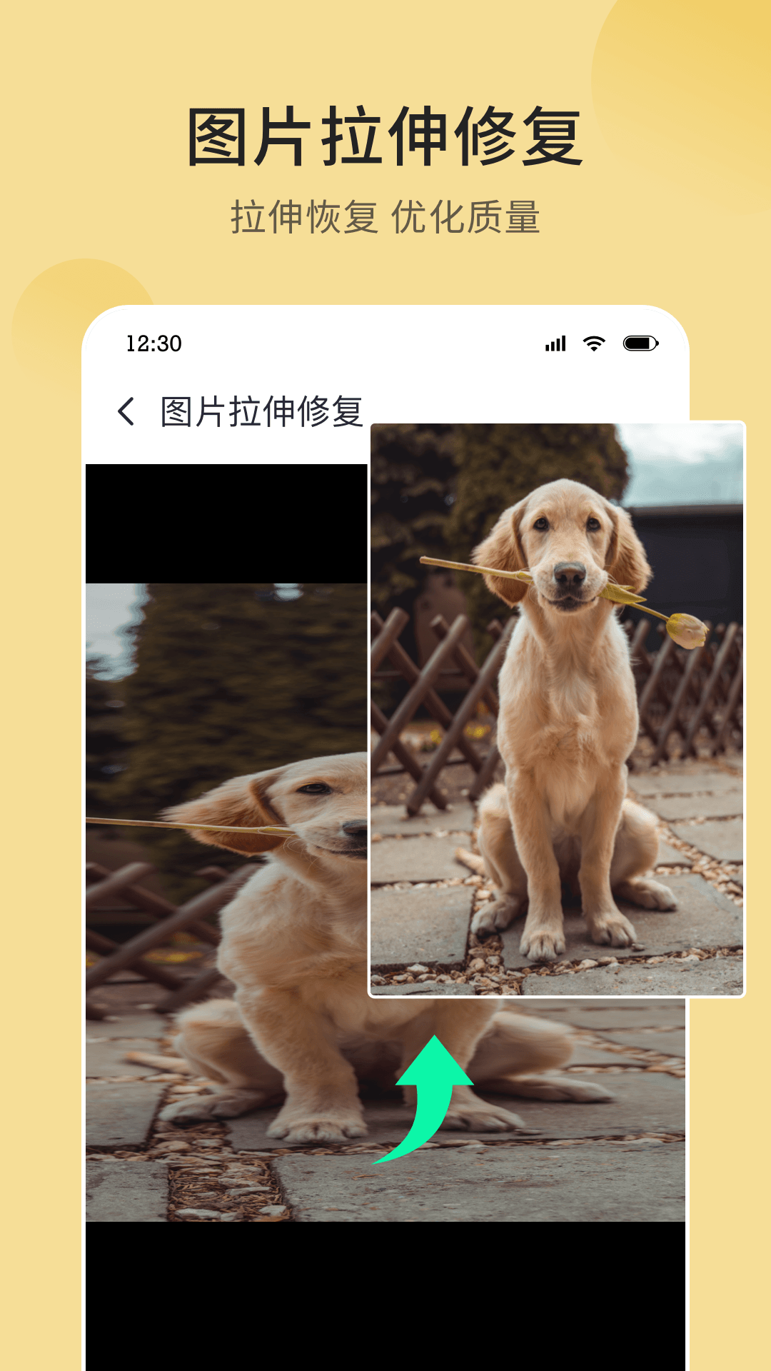 妙图看看app下载 v1.0.2 安卓版
