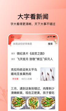 今日头条大字版app v8.4.1 最新版