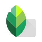 Snapseed app v2.19.1.303051424 安卓版