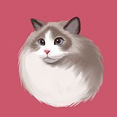 壁纸库app V1.0.1 安卓版