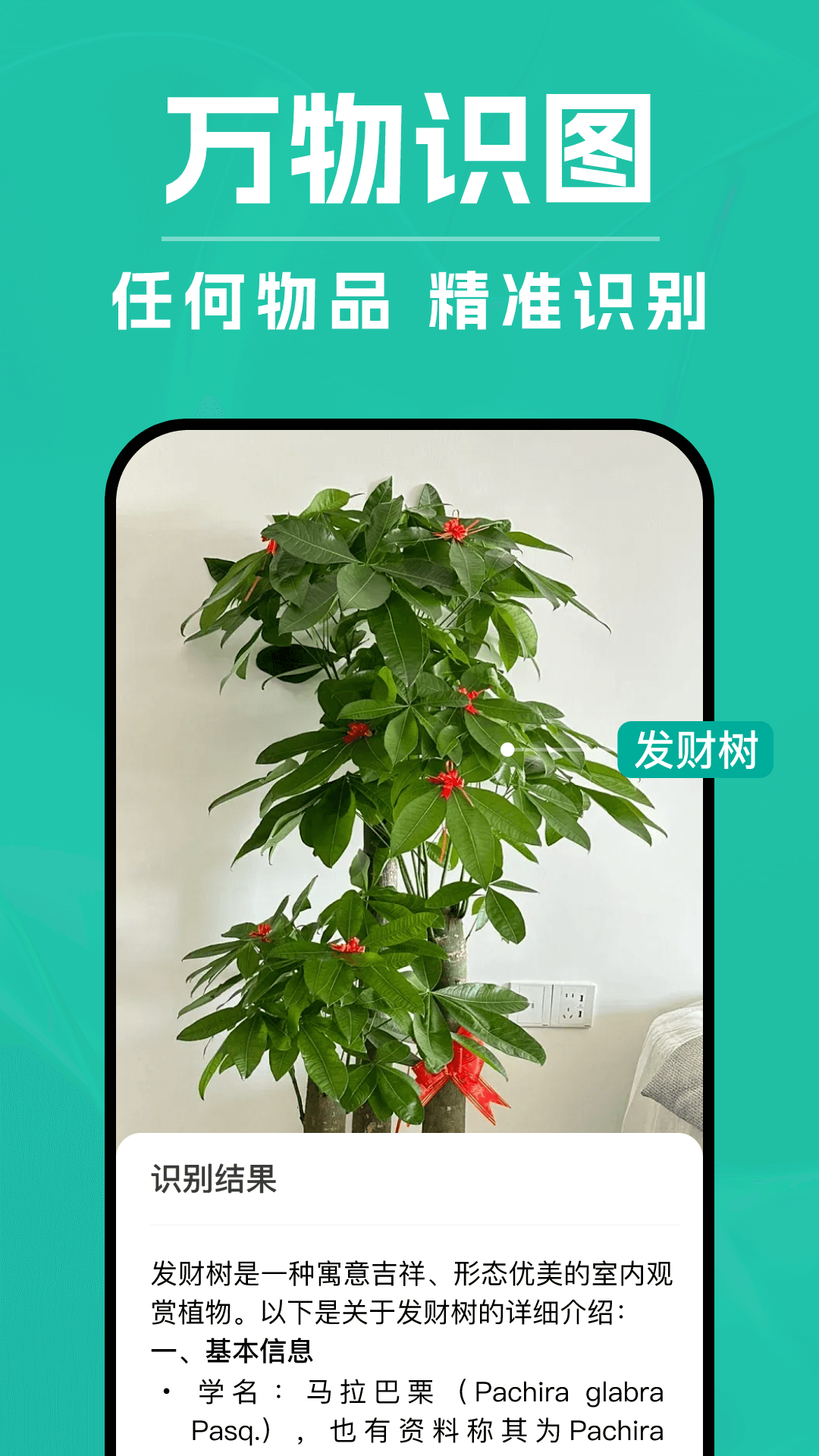 DeepAI扫描王官方版 v1.0.1 安卓版