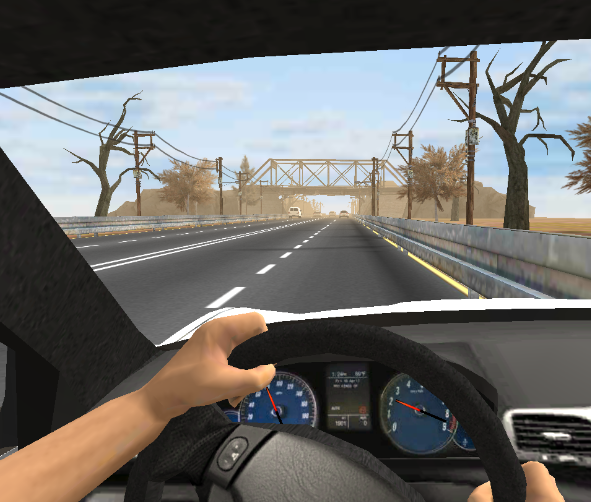 狂热赛车(Racing Fever 3D)