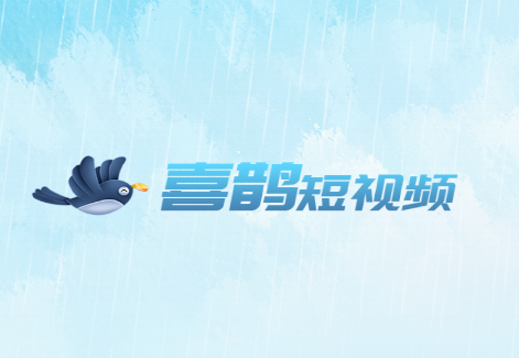 喜鹊短视频app