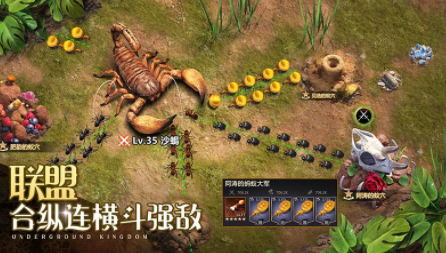 小小蚁国华为版本