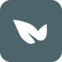青藤之恋app v5.20.0安卓版