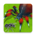 昆虫进化大乱斗 v1.4 安卓版