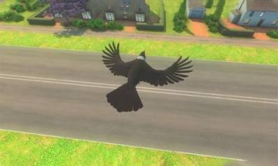 幻想乌鸦飞行游戏下载(Fantasy Crow flying game) v1.01 安卓版