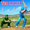 T20世界板球比赛游戏下载安装(T20 Cricket League) v3.2 安卓版