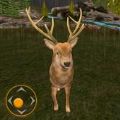 猎鹿游戏枪战游戏下载安装(Deer Huter Game: Gun Games) v1.0.1 安卓版