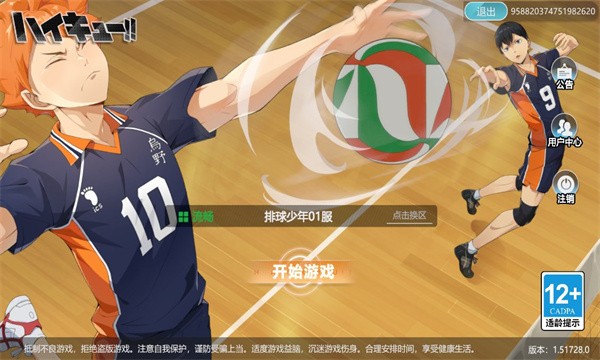排球少年飞吧乌野高中(하이큐!!) v1.0.102 安卓版