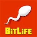 bitlife人生模拟 v3.9.9 安卓版
