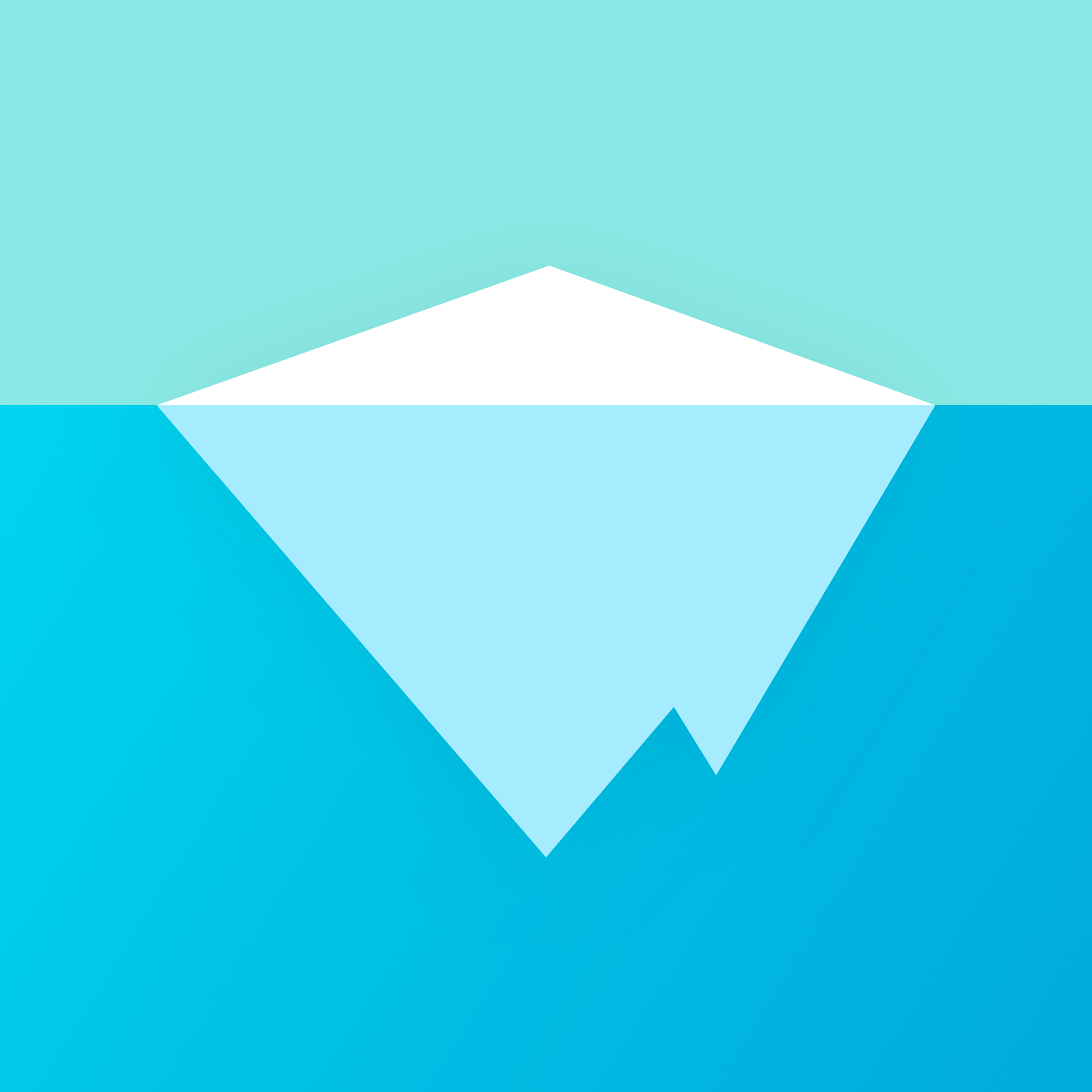 小冰岛app v4.0.1 最新版