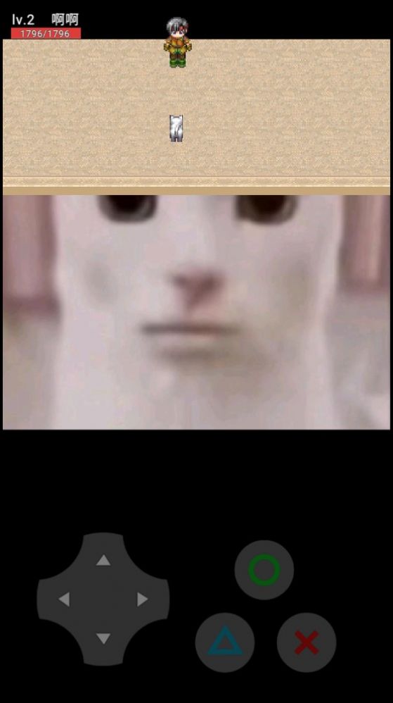 猫咪惊魂游戏 v0.10 安卓版