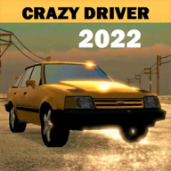 疯狂街道游戏下载(Crazy Raze) v2 安卓版