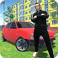 车手驾驶模拟游戏 v1.0.4 安卓版