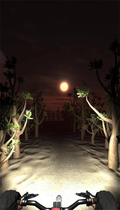 夜骑模拟器Night Ride v0.2 安卓版