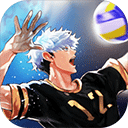 排球故事正版下载(The Spike Volleyball battle) v3.0.7 安卓版