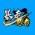 暴走忍者游戏 v1.0 安卓版