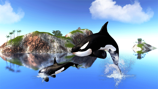 虎鲸模拟器下载(The Killer Whale) v1.0.9 安卓版