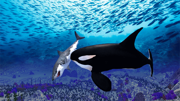 虎鲸模拟器下载(The Killer Whale) v1.0.9 安卓版