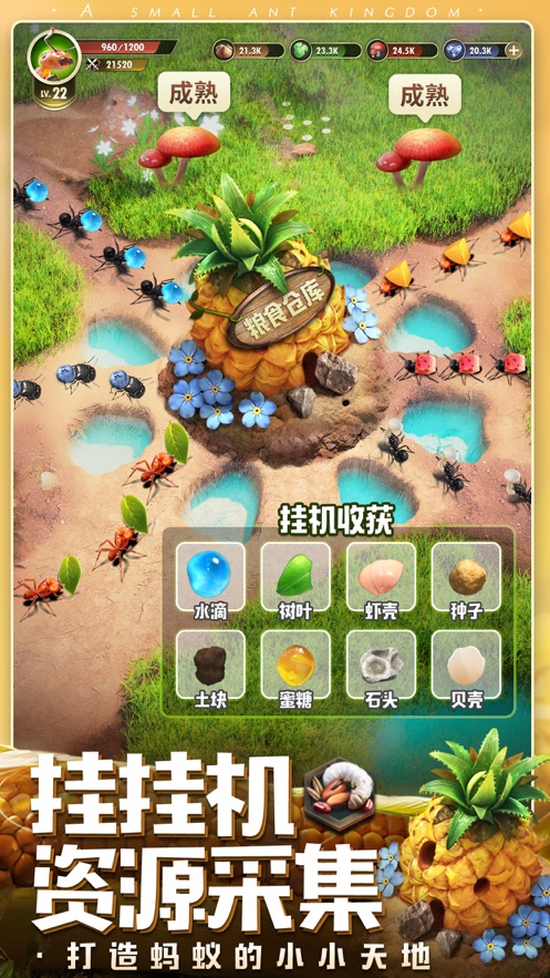 小小蚁国九游版下载 v1.58.0 最新版