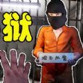 监狱长模拟器游戏 v1.0 安卓版