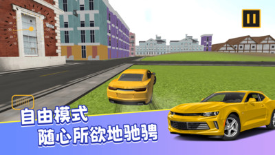 真实模拟司机驾驶 v1.0.0 安卓版