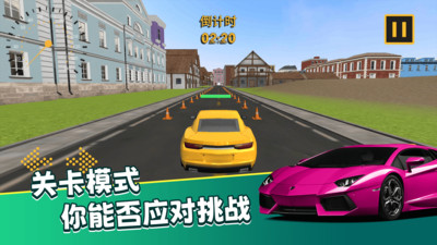 真实模拟司机驾驶 v1.0.0 安卓版