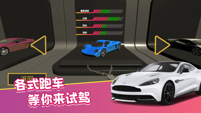 真实模拟司机驾驶 v1.0.0 安卓版