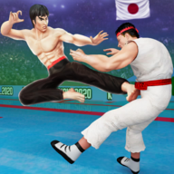 功夫大师游戏(Karate Fighter) v3.5.10 安卓版