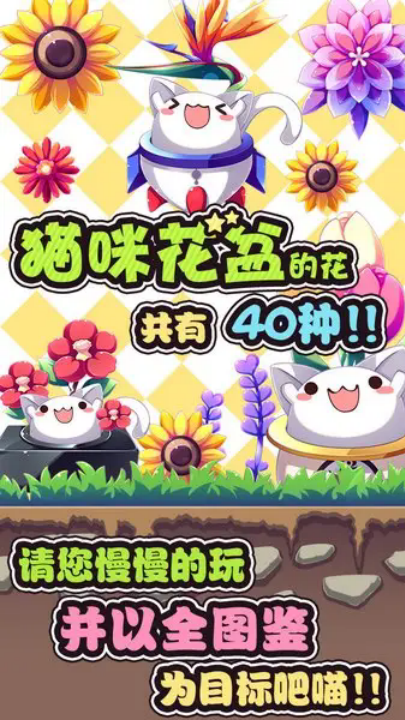 猫咪花盆游戏 v1.42 最新版