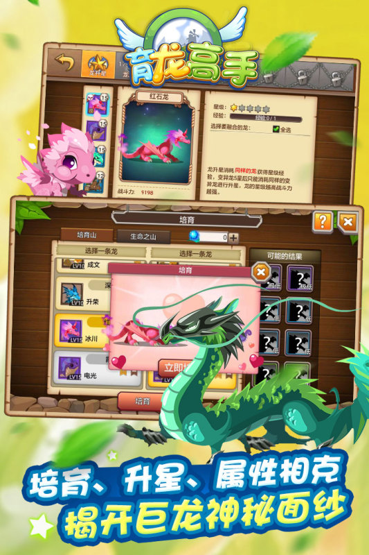 育龙高手九游版 v2.9.43 最新版