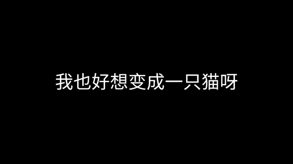 想要成为猫游戏