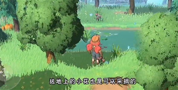 舒适岛汉化版