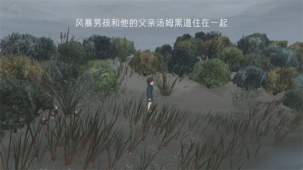 男孩与鹈鹕游戏