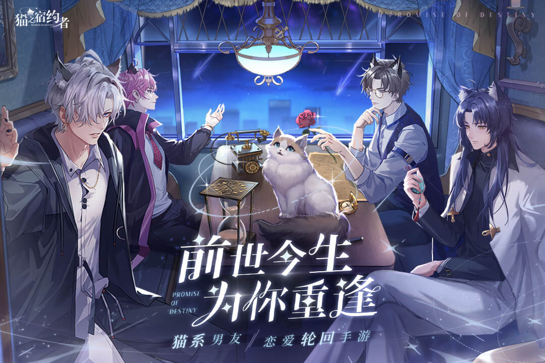 猫之宿约者九游版 v1.0.0 最新版