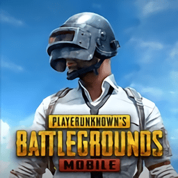 地铁逃生(国际服)下载地铁逃生(PUBG MOBILE) v3.7.0 安卓版